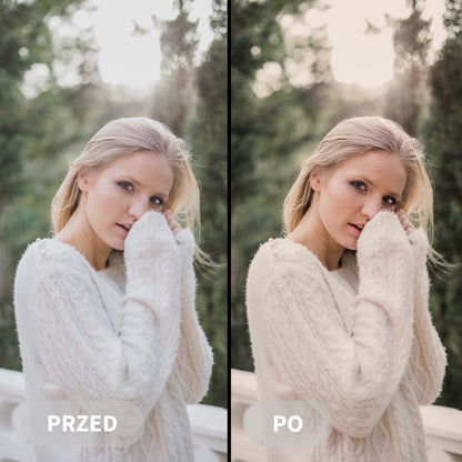 Preset BEIGE
