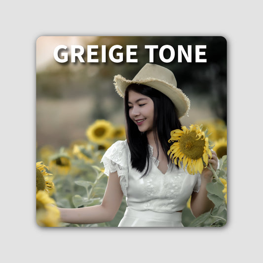 Preset GREIGE TONE