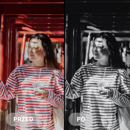 Preset MONOCHROMATICKÝ