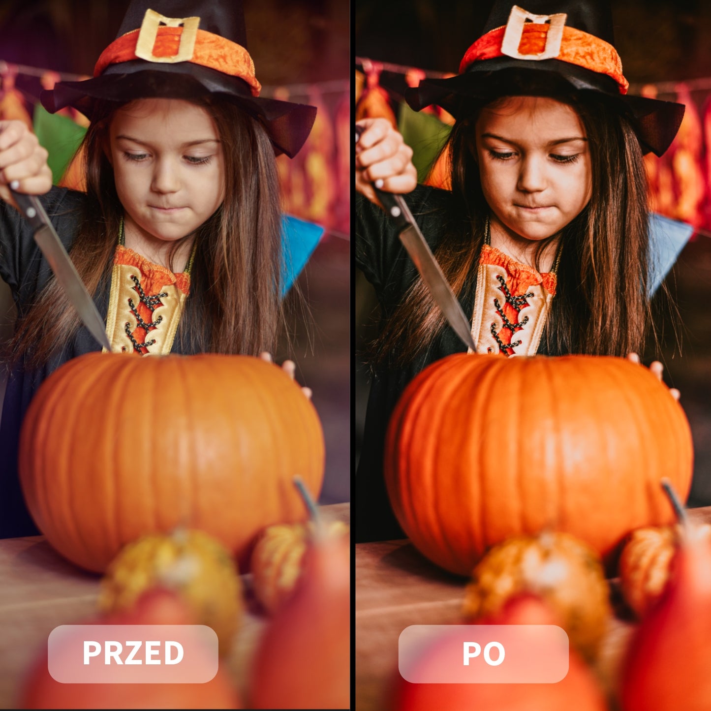 Balíček SEASONS (16 kolekcí)