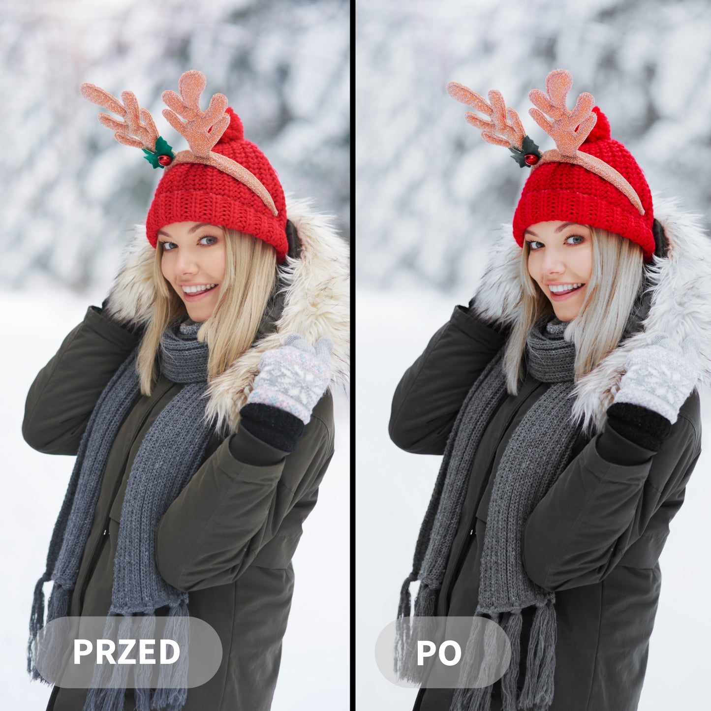 Preset ZIMNÍ KRAJINA