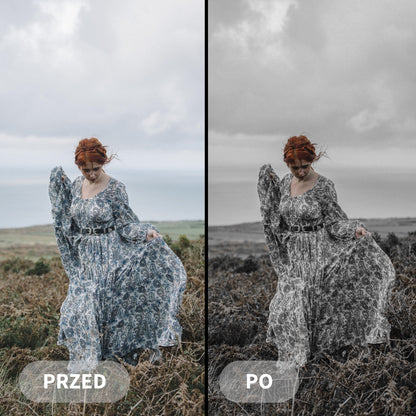 Preset MODERNÍ ŠEDÝ